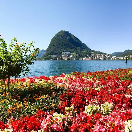Tesori Della Vetta Lejlighed Lugano